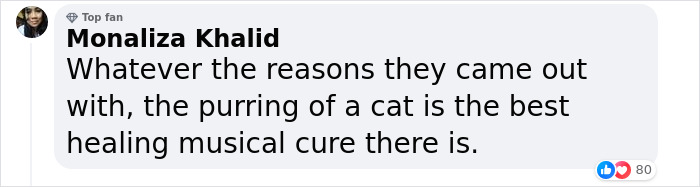 &#8220;A Great Surprise&#8221;: Scientists Stunned After Discovering How Cats Purr