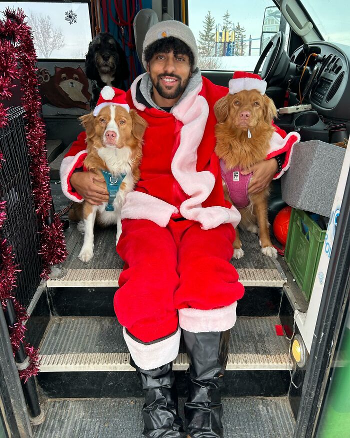 Guy Converts A School Bus To Take Dogs On Daily Adventures