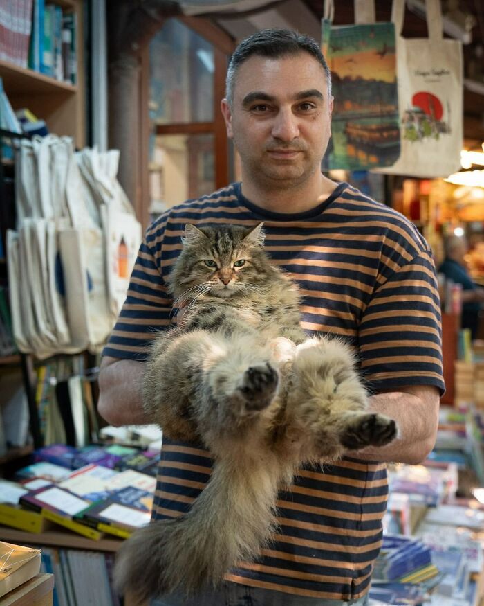 City Cats Of Istanbul: 30 Beautiful Moments Captured By Marcel Heijnen