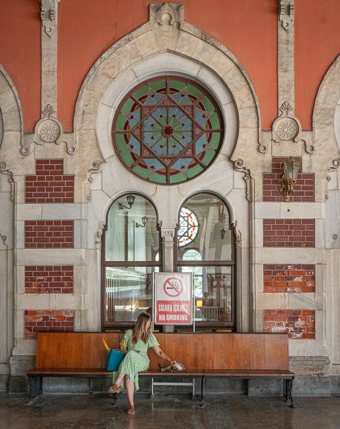City Cats Of Istanbul: 30 Beautiful Moments Captured By Marcel Heijnen