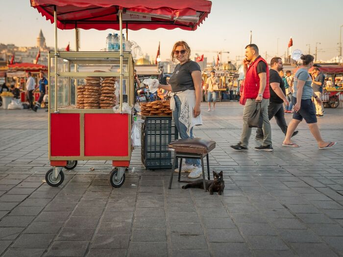 City Cats Of Istanbul: 30 Beautiful Moments Captured By Marcel Heijnen