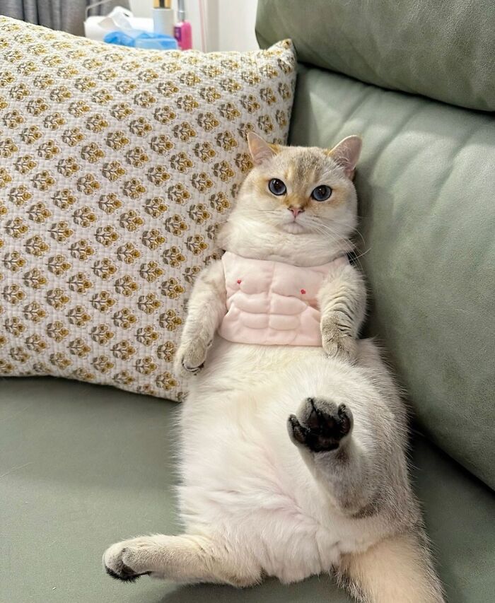 30 Hilariously Cute Images Of Cats And Dogs That Will Make Even The Grumpiest Person Smile