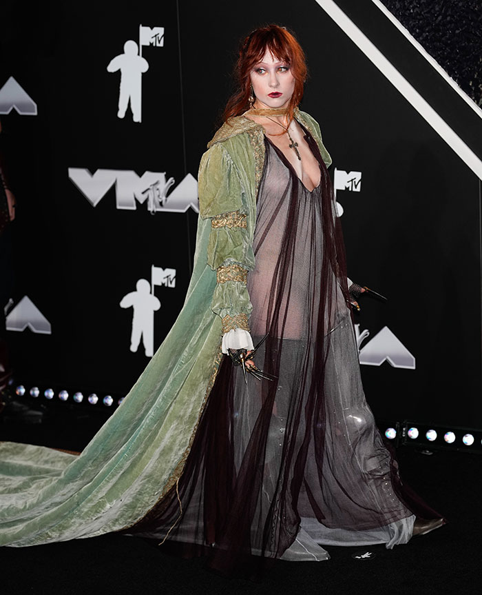 30 Red Carpet Looks That Got It Wrong In 2024