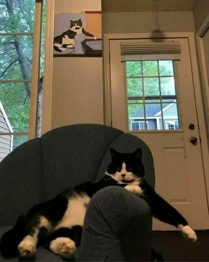 50 Cats That May Leave You Laughing So Hard You’ll Forget All Your Worries For A Minute (New Pics)