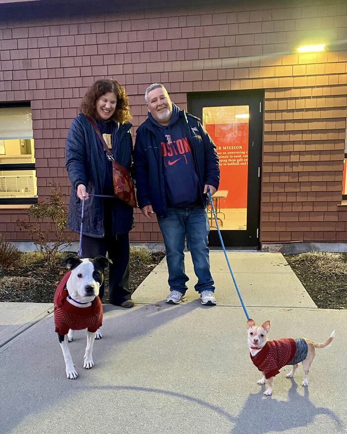 Two Completely Different Dogs Create The Most Beautiful Bond In A Shelter, And People Are Obsessed