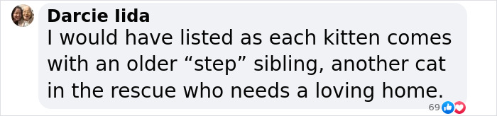 Plush-Like Curly Kittens Got Adopted In Record Time Due To Their Irresistibly Cute Appearance