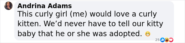 Plush-Like Curly Kittens Got Adopted In Record Time Due To Their Irresistibly Cute Appearance