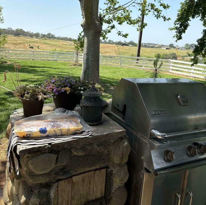 50 People Share Photos Of Their Truly Unhinged In-Laws (New Pics)