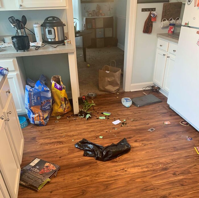 50 People Share Photos Of Their Truly Unhinged In-Laws (New Pics)