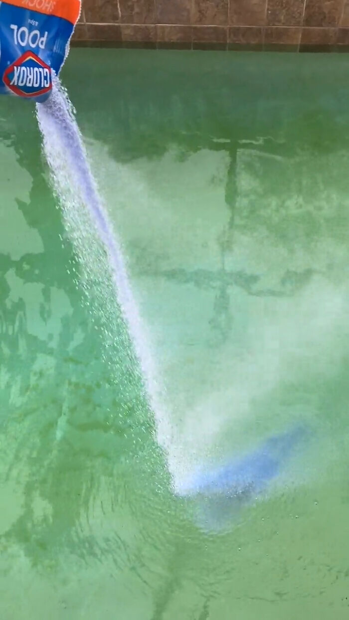 50 People Share Photos Of Their Truly Unhinged In-Laws (New Pics)