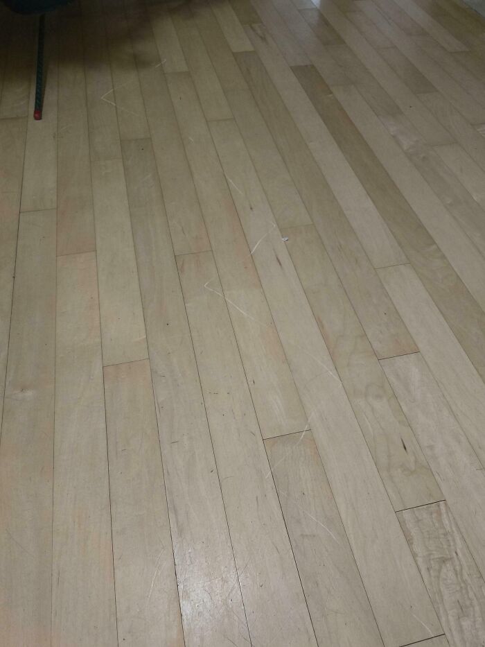 50 People Share Photos Of Their Truly Unhinged In-Laws (New Pics)