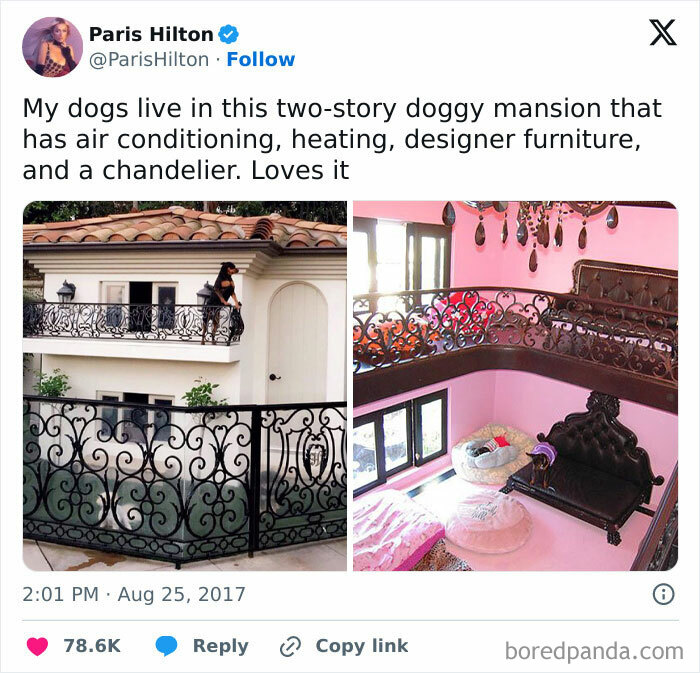 25 Of The Most Wasteful Things Celebrities Have Done