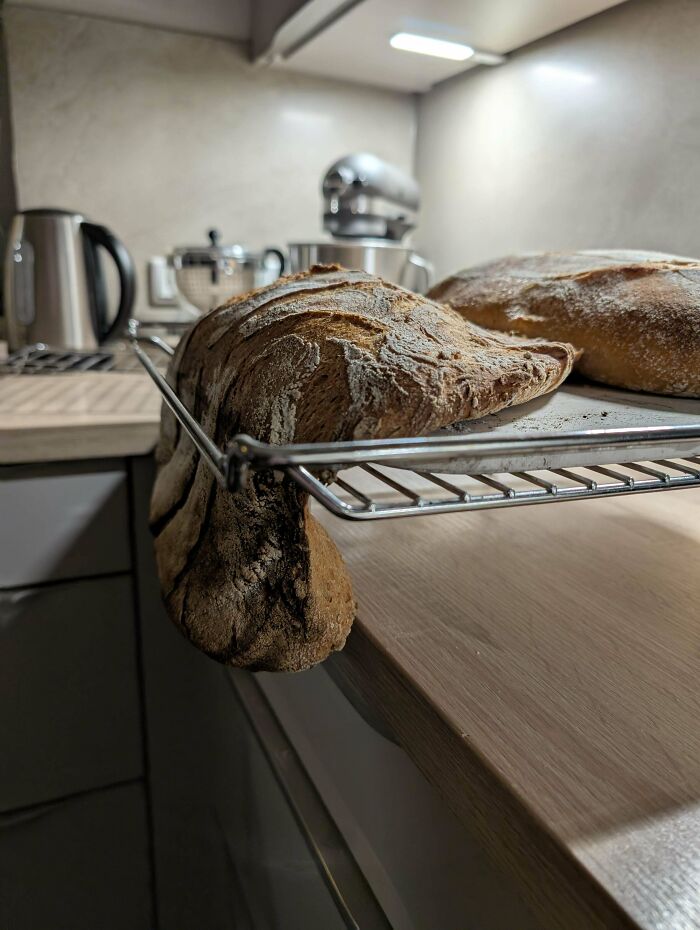 50 Times Bakers Took Their Culinary Concoctions To A Whole Other Level (New Pics) 50 Times Bakers Took Their Culinary Concoctions To A Whole Other Level (New Pics)