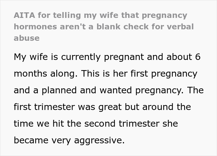 Pregnant Woman Uses Caring Wife As A Human Punching Bag, Screams At Her Daily, She Finally Snaps Pregnant Woman Uses Caring Wife As A Human Punching Bag, Screams At Her Daily, She Finally Snaps