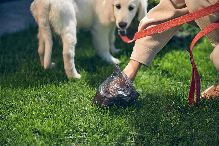 Neighbor Asks Woman To Lock Her Dogs Inside As They Destroy Her “Enjoyment,” She Finally Has Enough