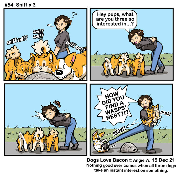 Dogs In Comics: The Most Loved Strips From Our Community Artists (50 Pics)