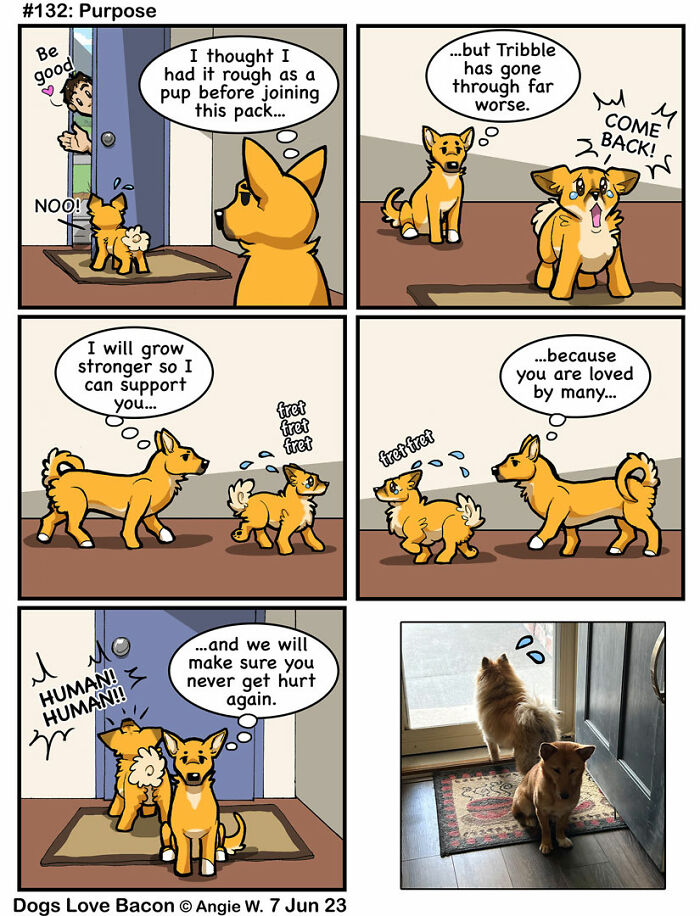 Dogs In Comics: The Most Loved Strips From Our Community Artists (50 Pics)
