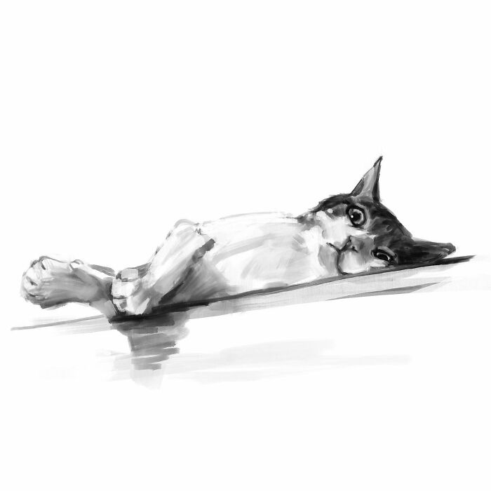19 Minimalist Sketches By Jinodae That Capture The Essence Of Cats