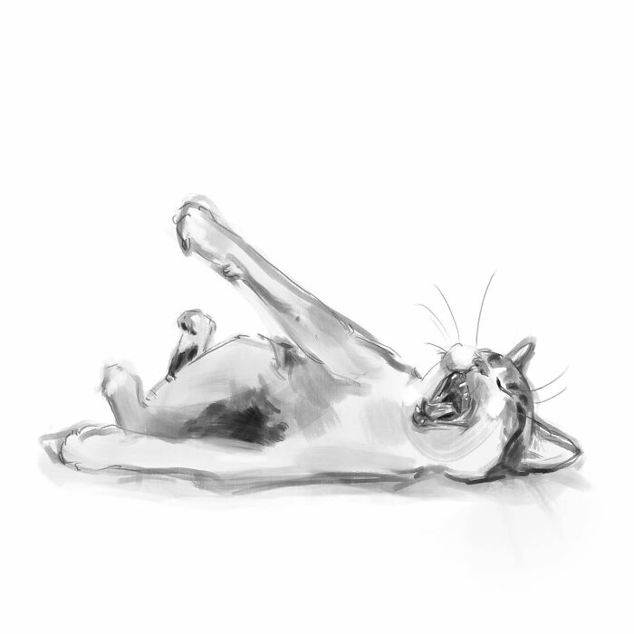 19 Minimalist Sketches By Jinodae That Capture The Essence Of Cats