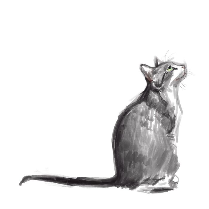 19 Minimalist Sketches By Jinodae That Capture The Essence Of Cats