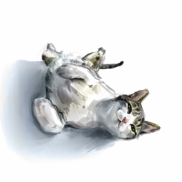 19 Minimalist Sketches By Jinodae That Capture The Essence Of Cats