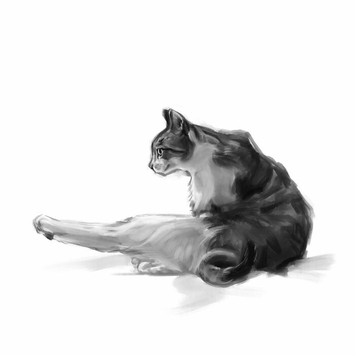 19 Minimalist Sketches By Jinodae That Capture The Essence Of Cats