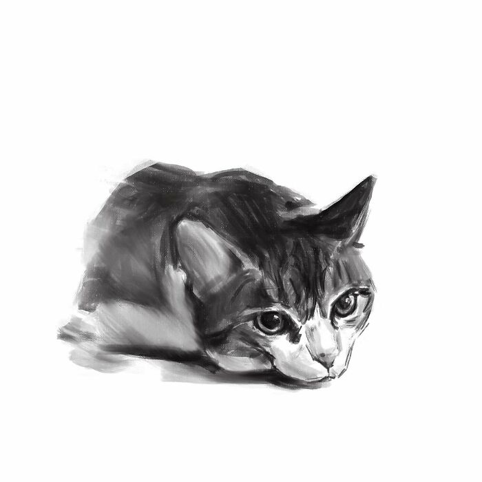 19 Minimalist Sketches By Jinodae That Capture The Essence Of Cats