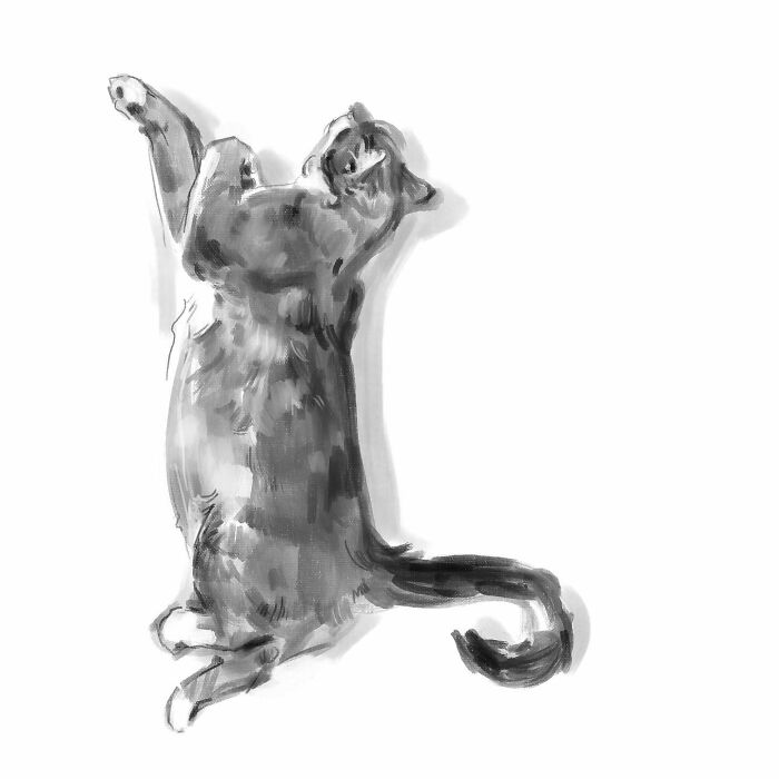 19 Minimalist Sketches By Jinodae That Capture The Essence Of Cats