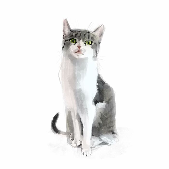 19 Minimalist Sketches By Jinodae That Capture The Essence Of Cats