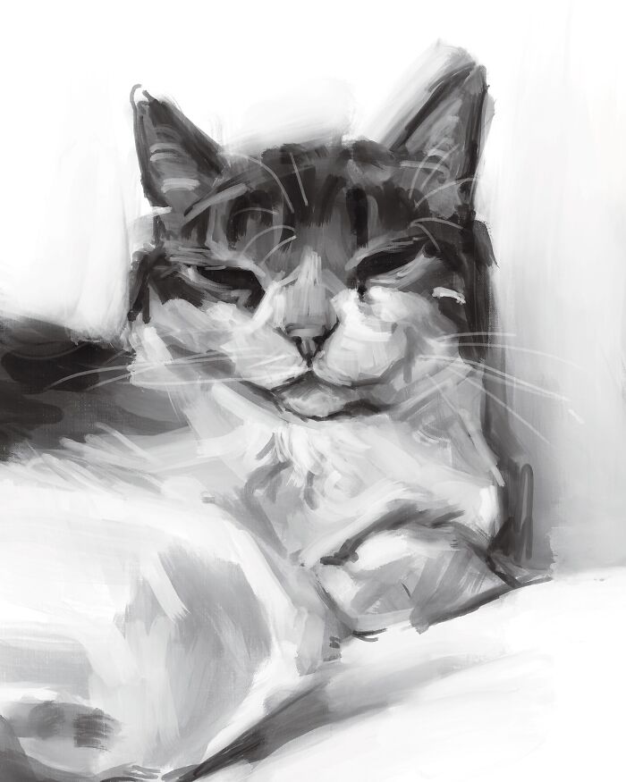 19 Minimalist Sketches By Jinodae That Capture The Essence Of Cats