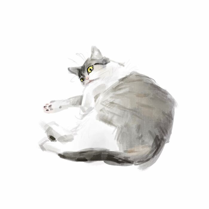 19 Minimalist Sketches By Jinodae That Capture The Essence Of Cats