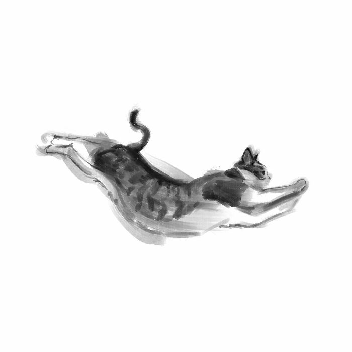 19 Minimalist Sketches By Jinodae That Capture The Essence Of Cats