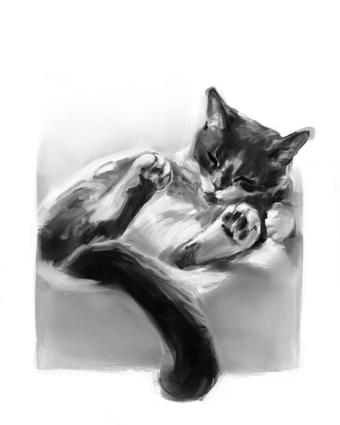 19 Minimalist Sketches By Jinodae That Capture The Essence Of Cats