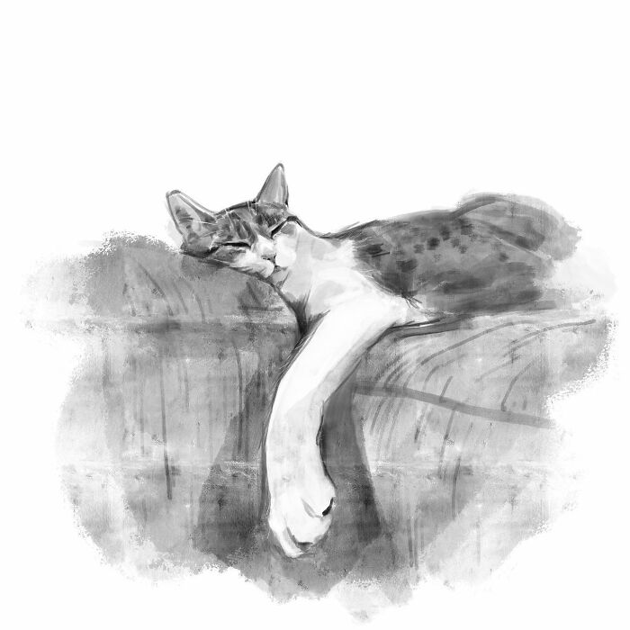 19 Minimalist Sketches By Jinodae That Capture The Essence Of Cats