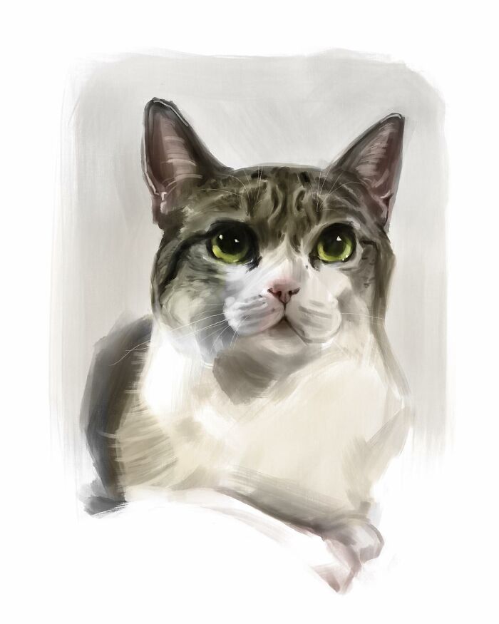 19 Minimalist Sketches By Jinodae That Capture The Essence Of Cats