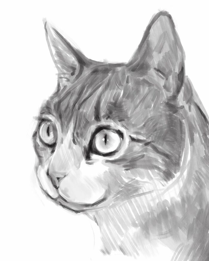 19 Minimalist Sketches By Jinodae That Capture The Essence Of Cats