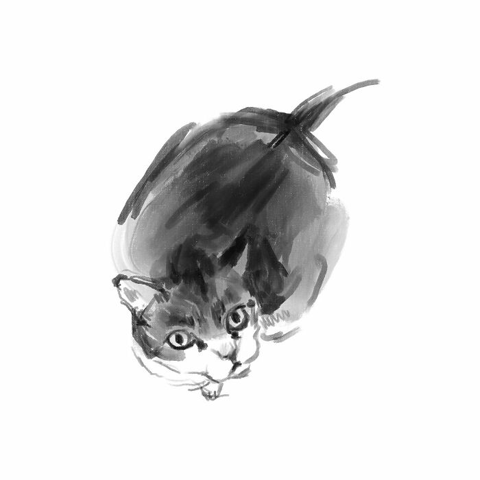 19 Minimalist Sketches By Jinodae That Capture The Essence Of Cats