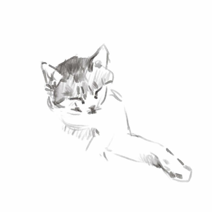 19 Minimalist Sketches By Jinodae That Capture The Essence Of Cats
