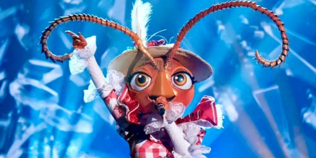 7 Best Costumes in The Masked Singer Season 13 TVovermind