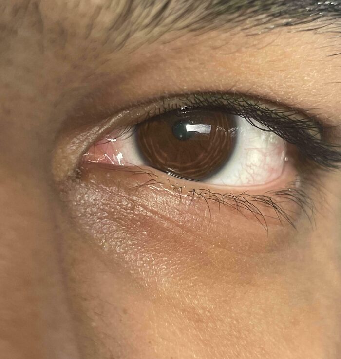 80 Mildly Interesting Photos With Even More Fascinating Backstories (New Pics)