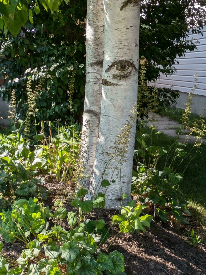 80 Mildly Interesting Photos With Even More Fascinating Backstories (New Pics)