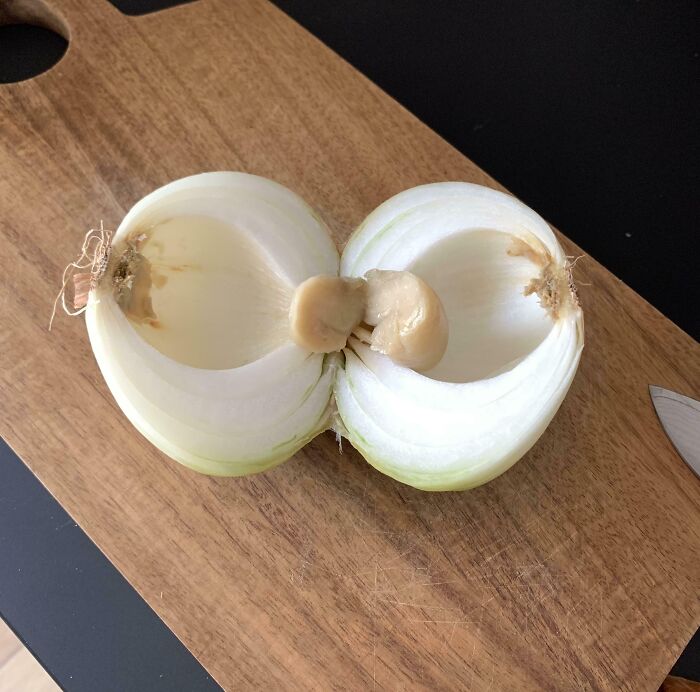80 Mildly Interesting Photos With Even More Fascinating Backstories (New Pics)