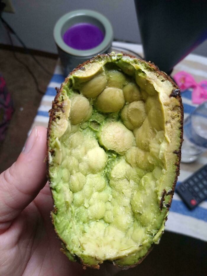 80 Mildly Interesting Photos With Even More Fascinating Backstories (New Pics)