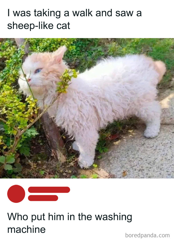 80 Wholesome Pics Full Of ‘Very Important Positivity’ That Everyone Needs To See (New Pics) 80 Wholesome Pics Full Of ‘Very Important Positivity’ That Everyone Needs To See (New Pics)