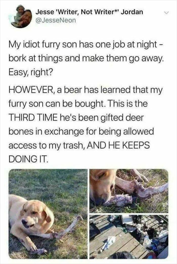 80 Wholesome Pics Full Of ‘Very Important Positivity’ That Everyone Needs To See (New Pics) 80 Wholesome Pics Full Of ‘Very Important Positivity’ That Everyone Needs To See (New Pics)