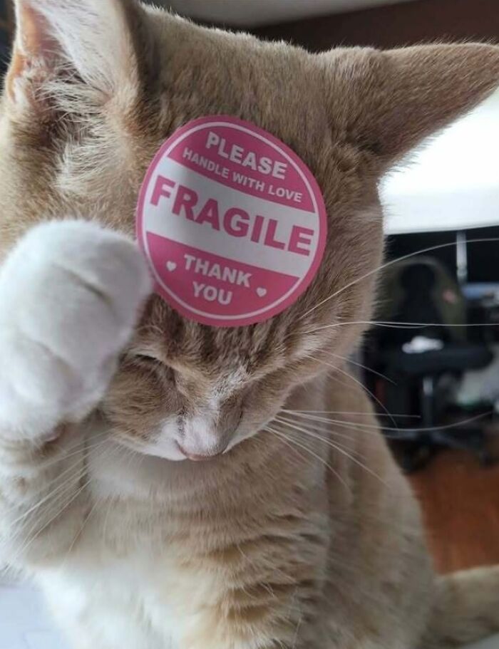 80 Wholesome Pics Full Of ‘Very Important Positivity’ That Everyone Needs To See (New Pics) 80 Wholesome Pics Full Of ‘Very Important Positivity’ That Everyone Needs To See (New Pics)