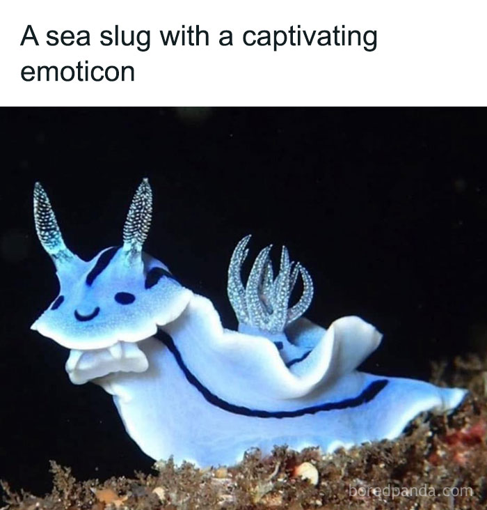 80 Wholesome Pics Full Of ‘Very Important Positivity’ That Everyone Needs To See (New Pics) 80 Wholesome Pics Full Of ‘Very Important Positivity’ That Everyone Needs To See (New Pics)