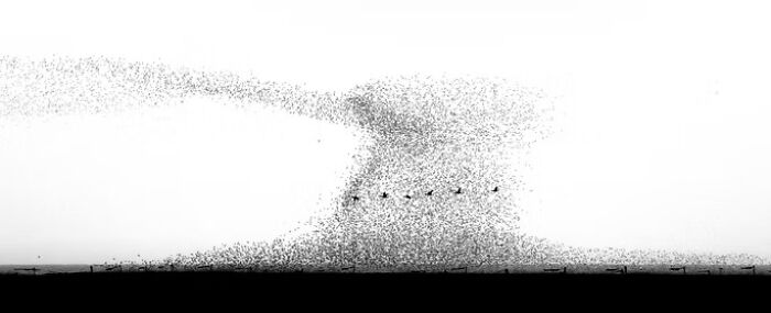 These Stunning Wildlife Photos From The 2025 Awards Might Take Your Breath Away (25 Pics)