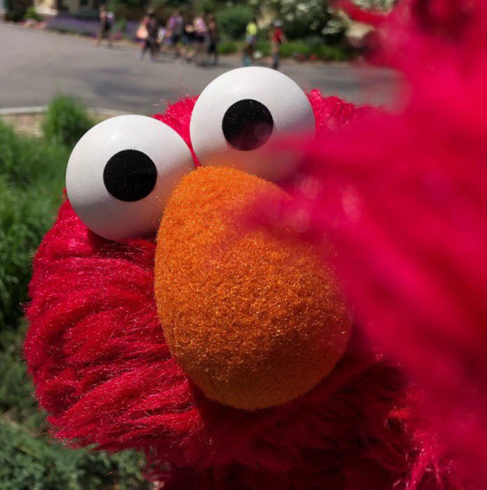 “This Is Horrifying”: Mass Outrage After Elmo’s Official Account Sends Out Racist Messages