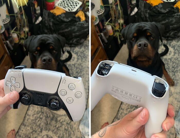 62 Times People Forgot Something And Ended Up In Funny Unfortunate Situations (New Pics)